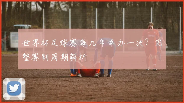 世界杯足球赛每几年举办一次？完整赛制周期解析