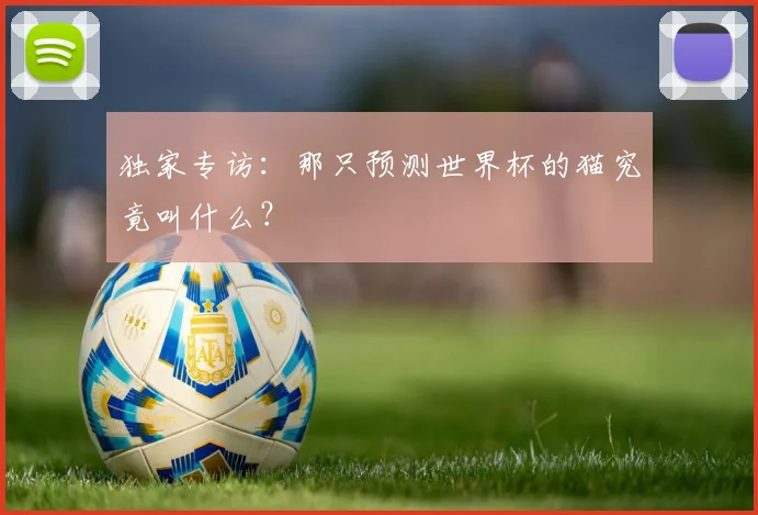 独家专访：那只预测世界杯的猫究竟叫什么？