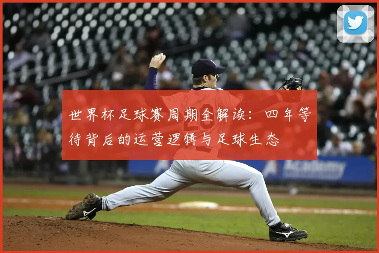 世界杯足球赛周期全解读：四年等待背后的运营逻辑与足球生态