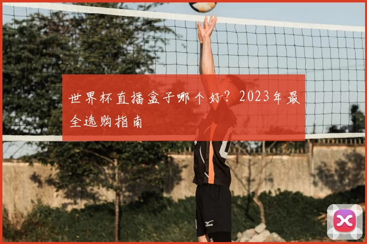 世界杯直播盒子哪个好？2023年最全选购指南