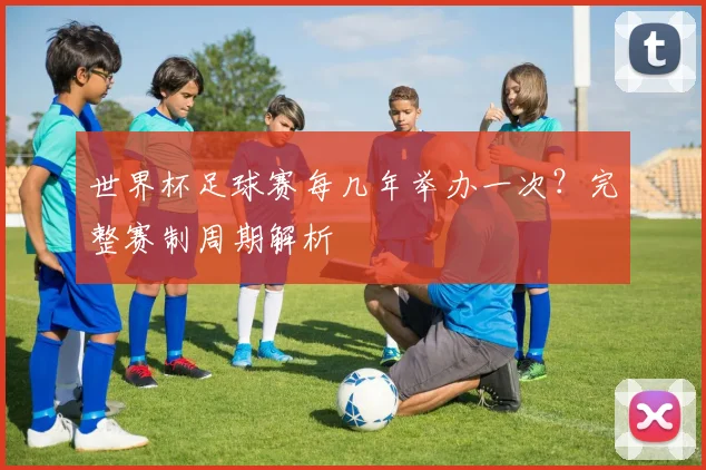 世界杯足球赛每几年举办一次？完整赛制周期解析