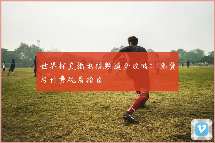 世界杯直播电视频道全攻略：免费与付费观看指南