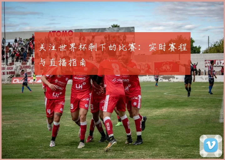 关注世界杯剩下的比赛:实时赛程与直播指南