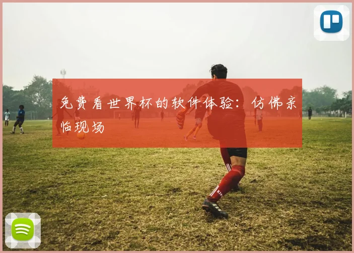 免费看世界杯的软件体验：仿佛亲临现场