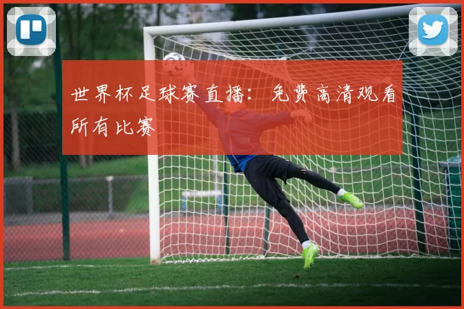 世界杯足球赛直播：免费高清观看所有比赛