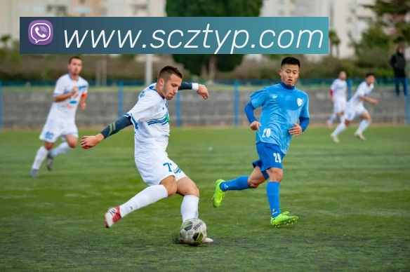 星空app官方登录入口品牌故事