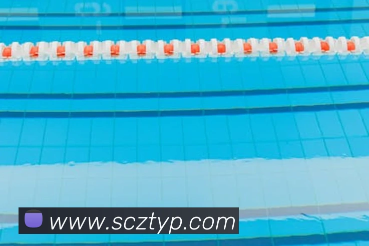 星空app官方登录入口服务体系